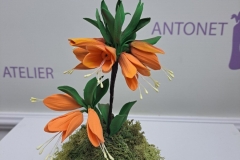 aranj3